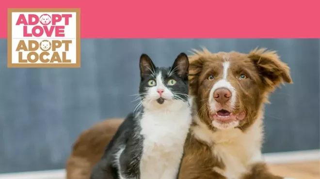 Image: Adopt Love, Adopt Local
