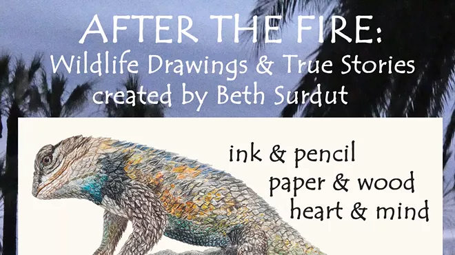 Image: After the Fire: Wildlife Drawings & True Stories created by Beth Surdut