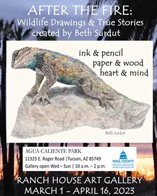 Image: After the Fire: Wildlife Drawings & True Stories created by Beth Surdut