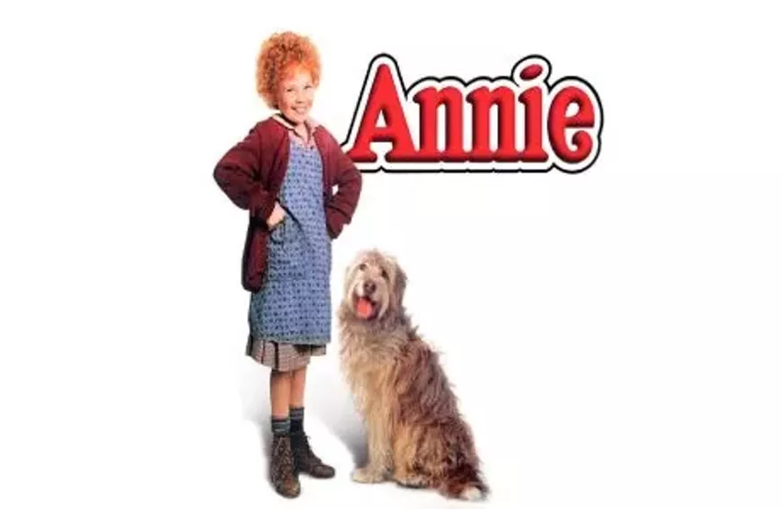 Annie Movie Musical Sing Along (1982)
