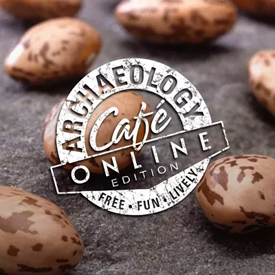 Image: Pinto beans