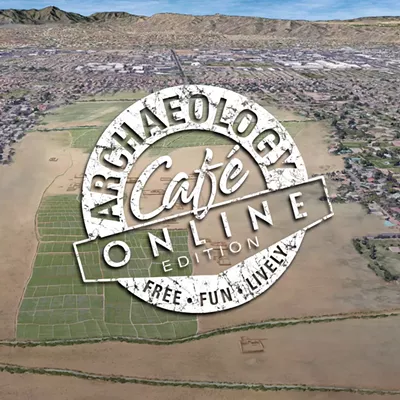 Image: Artist's visualization of ancient irrigated fields in the Phoenix Basin