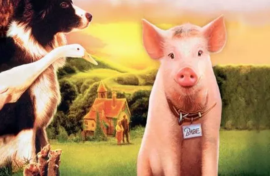 Babe Summer Movie Matinee (1995)