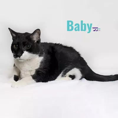 Image: Baby Needs a Home