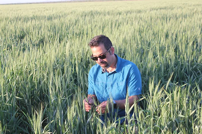Artisanal baker and entrepreneur Don Guerra of Barrio Bread has risen his way to the top of the local bread scene for his dedication to locally sourced grains and his eye for preserving the region’s agrarian heritage.