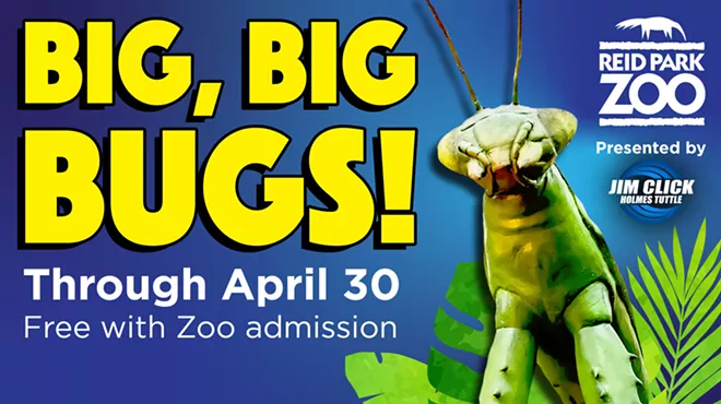 Image: Big, Big Bugs!