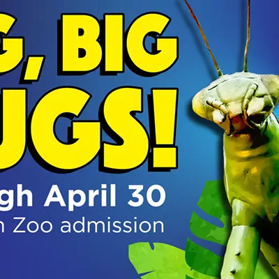 Image: Big, Big Bugs!