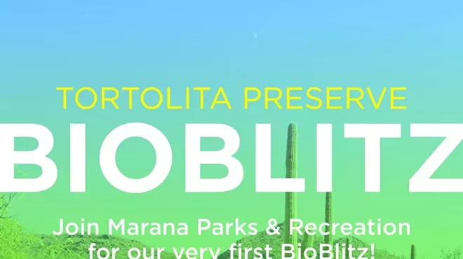 Image: Bioblitz at El Rio Preserve