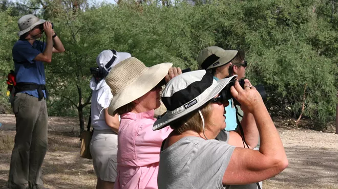 Image: Birding Agua Caliente Park