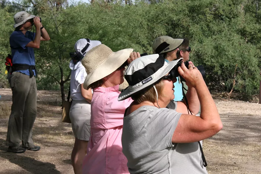 birding-4.webp