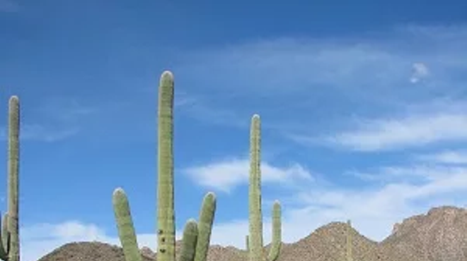 Image: Birding For EveryBODY: Canoa Ranch