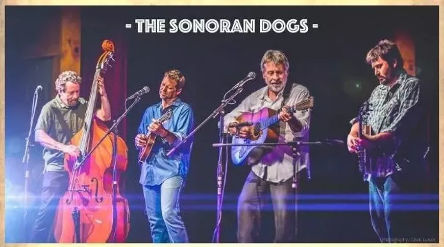 the-sonoran-dogs-1-.webp