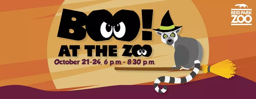 email_web-header-boo-at-the-zoo-1024x398.webp