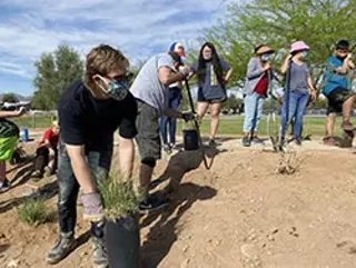 Image: Build Your Own Basin & Plant A Tree: In-Person Workshop