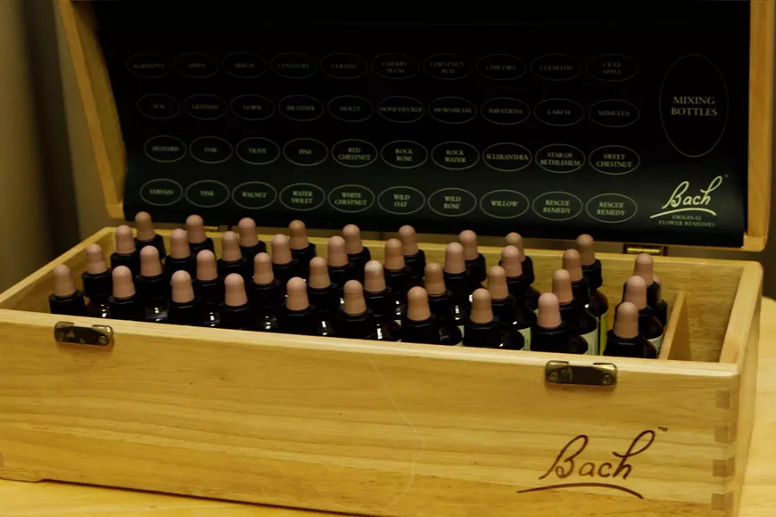 The Bach Flower Remedies