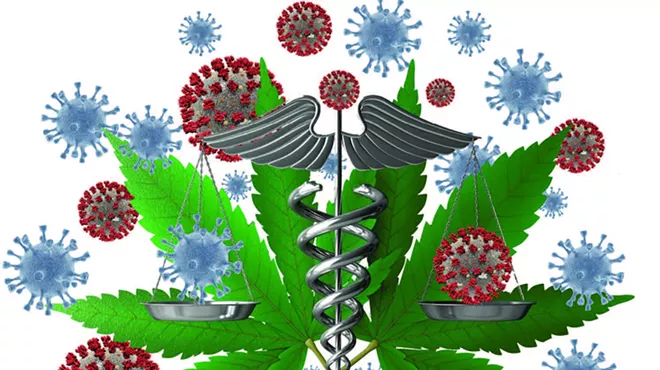 Image: Cannabis and Coronavirus