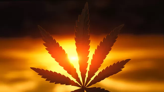 Image: Cannabis Campaigns