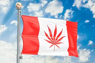 Image: Cannabis Crossings