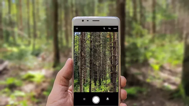 Image: Cell Phone Photography Basics