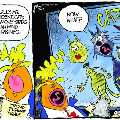 Image: Claytoon of the Day: Trumpy Windy Cats