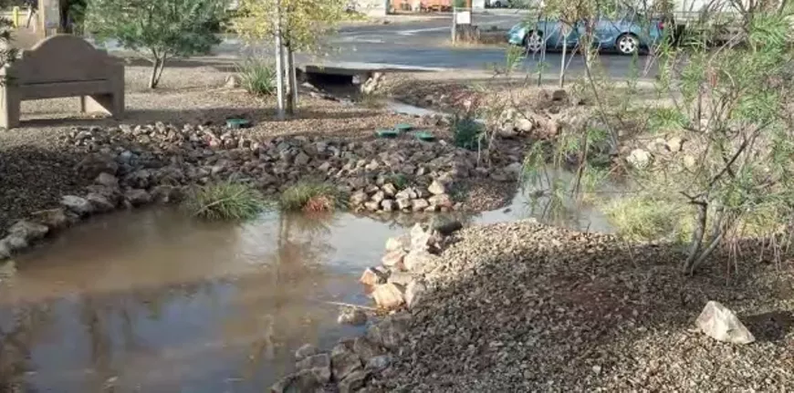 Join WMG's Trevor Hare, Restoration Director, and Luis Salgado, Green Infrastructure Coordinator, on Tucson's west side to install a passive system (no curb cuts!) to harvest water off a road and into a favorite community walking space. This will be a physically distanced, mask-on event. This event is limited to 10 people.