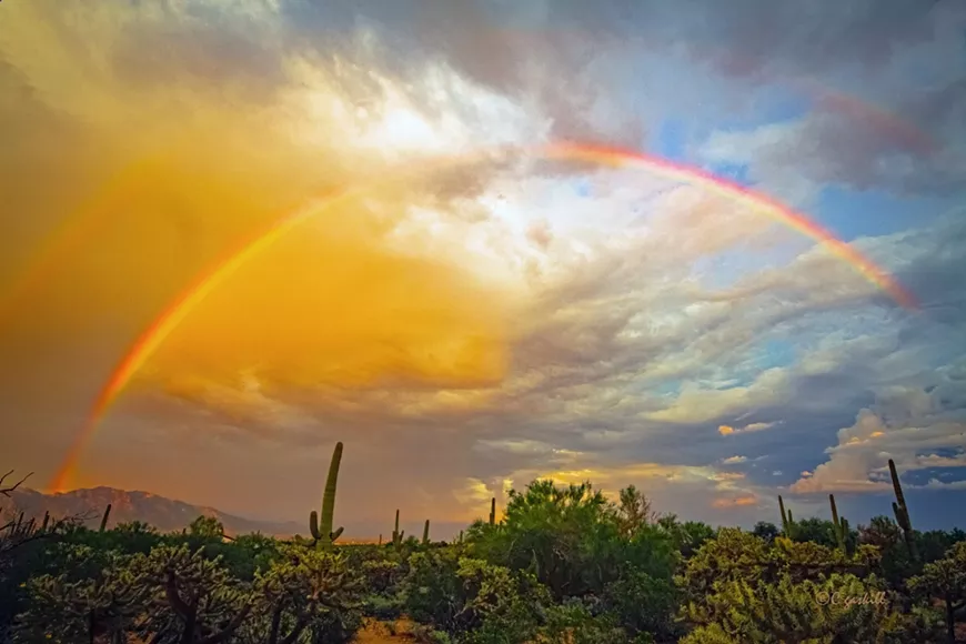 Rainbow Over Tucson