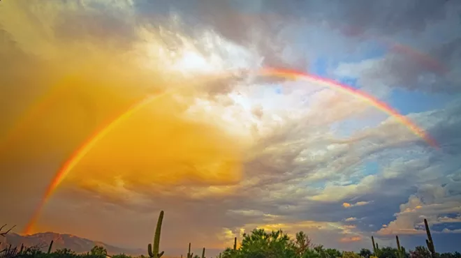 Image: Desert Artisans' Gallery Presents "Desert Expressions"