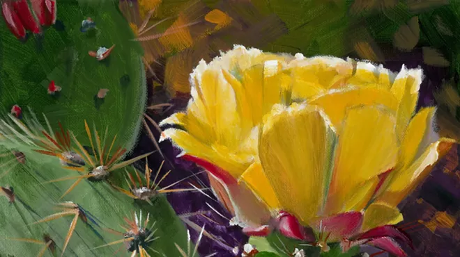 Image: Desert in Bloom