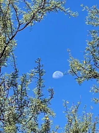 Image: Desert Rain Zen: Sunday meditation and conversation (beginners welcome!)