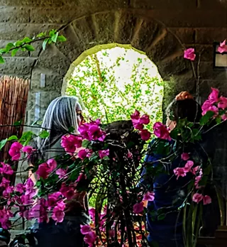 Image: Design and Dream Your Oasis Garden