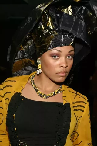 Image: Diaspora Showcase Africa