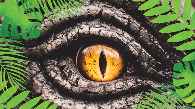 Image: Dinosaur Discovery