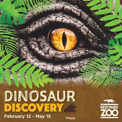Image: Dinosaur Discovery February 12 - May 15 at Reid Park Zoo