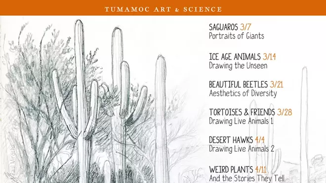 Image: Drawing Skills for Field Notebooks
