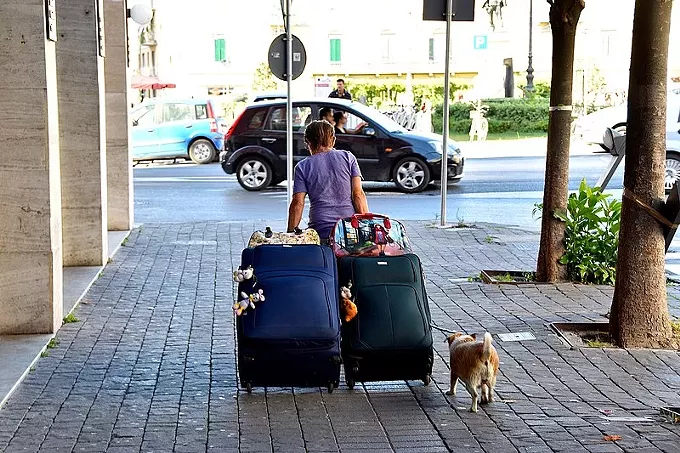 800px-moving_out_-_pisa_41913950145_.webp