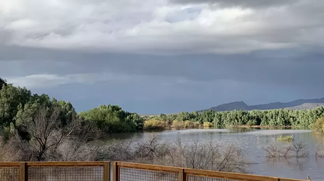 Image: El Rio Preserve Nature Trek