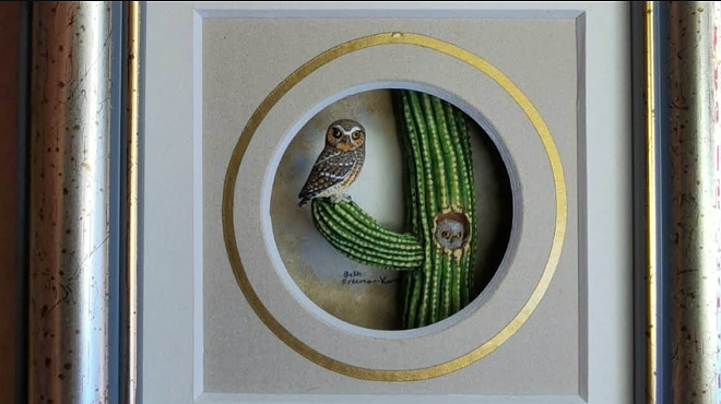 Image: Elf Owl and Baby on Saguaro