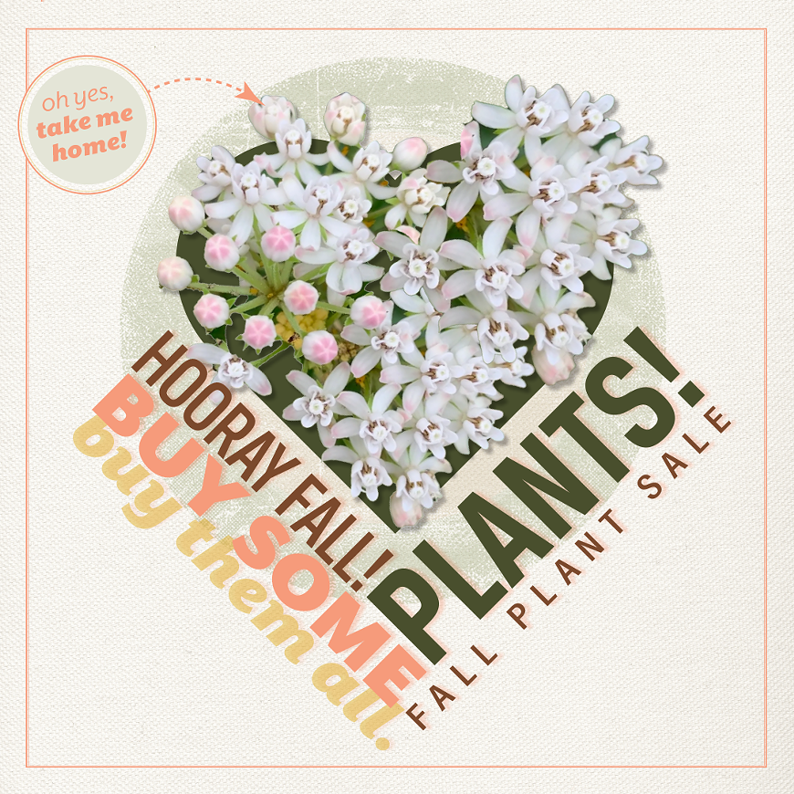 fall_plant_sale_events_square.png