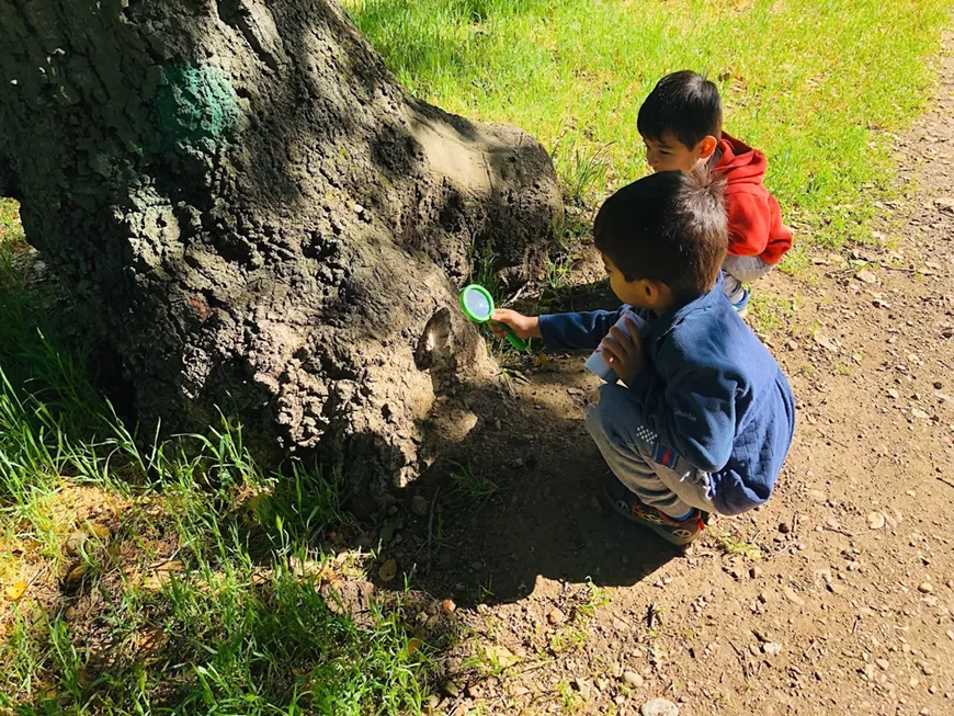 exploring_nature.webp