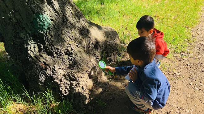 Image: Family Nature Scavenger Hunt