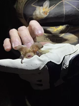 Image: Family Saturdays! &iexcl;S&aacute;bados Familiares!