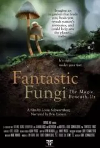 Image: Fantastic Fungi Day