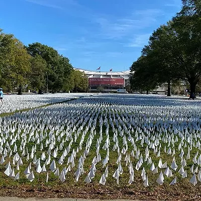 Image: Field of flags tries to make sense of staggering COVID-19 death toll