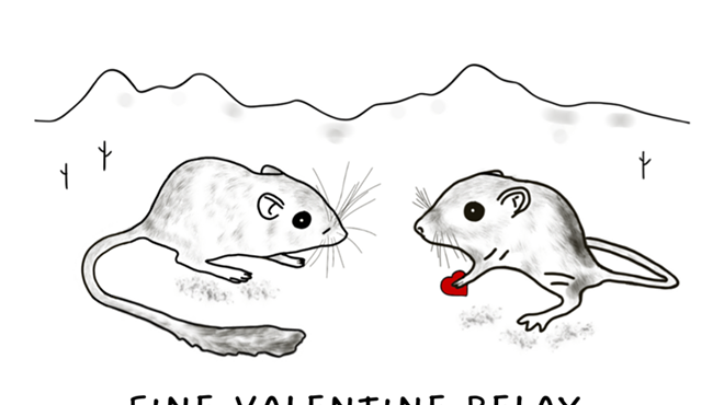 Image: Fine Valentine Relay
