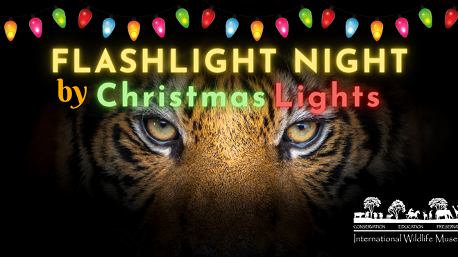 Image: Flashlight Night by Christmas Lights