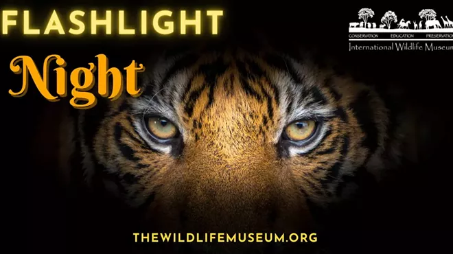Image: Flashlight Night