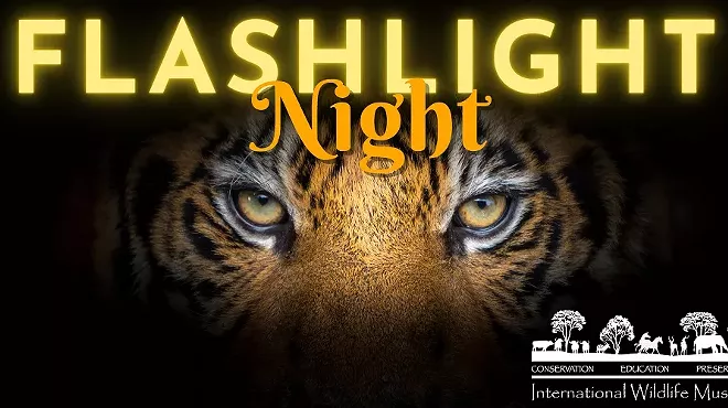 Image: Flashlight Night