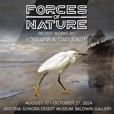 Image: Forces of Nature, Photographic works by Lorraine DarConte