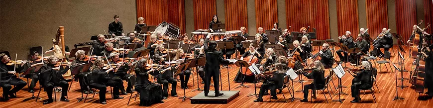 CIvic Orchestra of Tucson's free pops and light classics concert