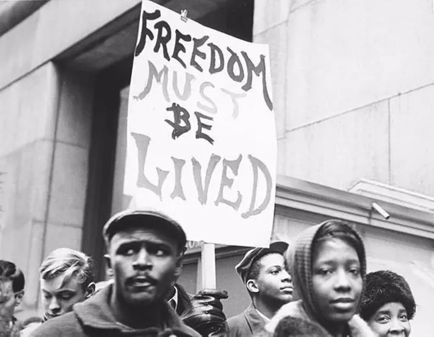 palfi_freedom_must_be_lived.webp